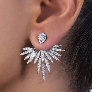 Elegant Silver Earrings